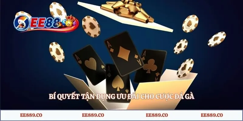 Bí quyết tận dụng ưu đãi cho cược đá gà