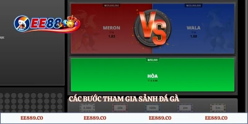 Các bước tham gia sảnh đá gà