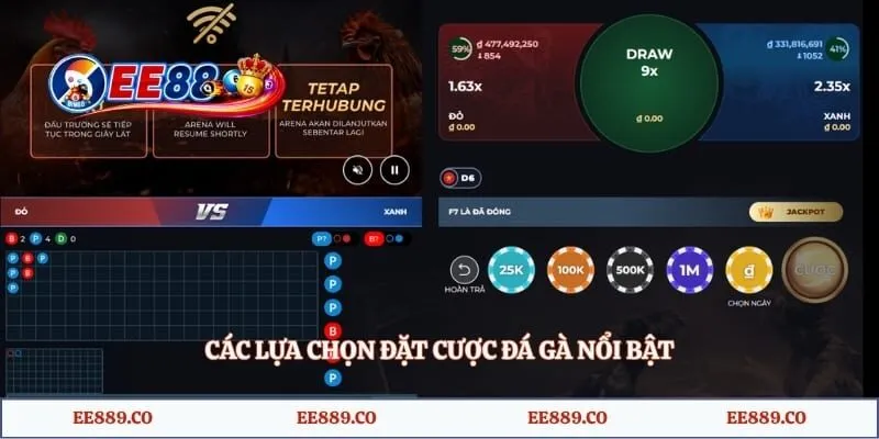 Các lựa chọn đặt cược đá gà nổi bật