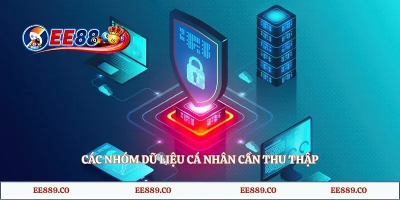 Các nhóm dữ liệu cá nhân cần thu thập 