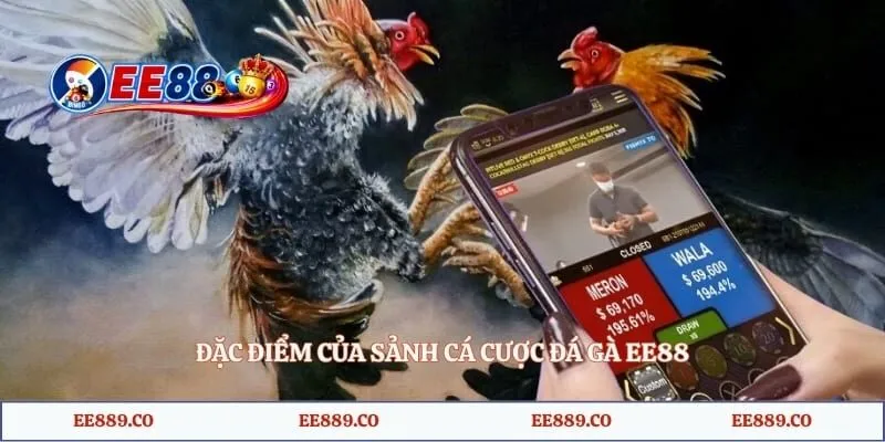 Đặc điểm của sảnh cá cược đá gà EE88