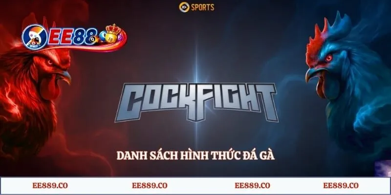 Danh sách hình thức đá gà