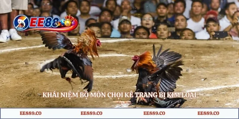 Khái niệm bộ môn chọi kê trang bị kim loại