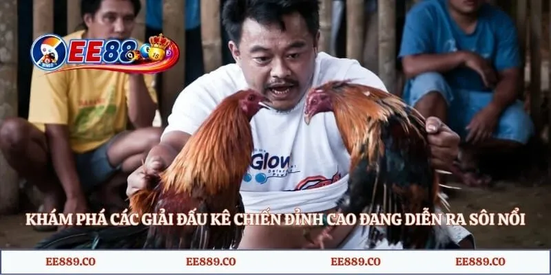 Khám phá các giải đấu kê chiến đỉnh cao đang diễn ra sôi nổi