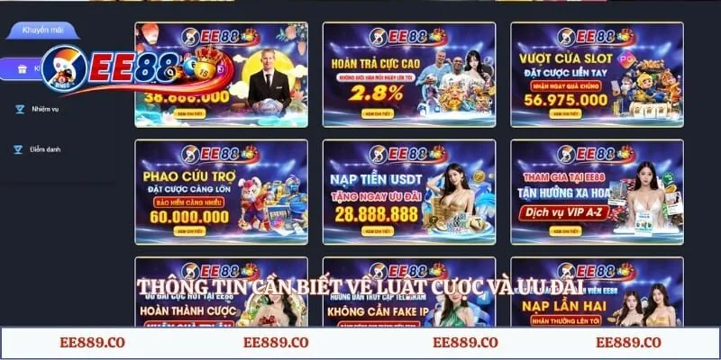 Thông tin cần biết về luật cược và ưu đãi