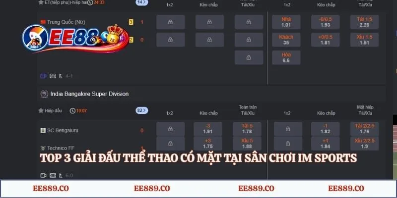 Top 3 giải đấu thể thao có mặt tại sân chơi IM Sports